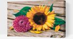  Festés számok szerint - Napraforgó és pink dália Méret: 40x60cm, Keretezés: Műanyagtáblával