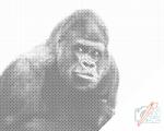  PontPöttyöző - Gorilla Méret: 40x50cm, Keretezés: Műanyagtáblával, Szín: Zöld