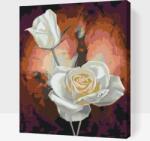  Festés számok szerint - Fehér rózsa Méret: 30x40cm, Keretezés: Kartonlemezen