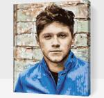  Festés számok szerint - Niall Horan 2 Méret: 30x40cm, Keretezés: Műanyagtáblával