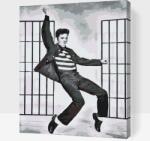  Festés számok szerint - Elvis Presley Méret: 40x50cm, Keretezés: Műanyagtáblával