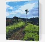  Festés számok szerint - Séta a rizsföldeken, Bali Méret: 30x40cm, Keretezés: Műanyagtáblával