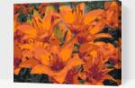  Festés számok szerint - Narancssárga liliom Méret: 30x40cm, Keretezés: Műanyagtáblával