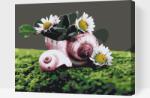  Festés számok szerint - Százszorszép kagylóban Méret: 30x40cm, Keretezés: Műanyagtáblával