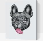  Festés számok szerint - Lógó nyelvű bulldog Méret: 30x40cm, Keretezés: Műanyagtáblával