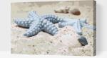  Festés számok szerint - Tengeri csillag a homokban Méret: 40x60cm, Keretezés: Műanyagtáblával