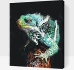  Festés számok szerint - Saurian Méret: 40x50cm, Keretezés: Műanyagtáblával