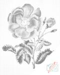  PontPöttyöző - Vintage rózsa Méret: 30x40cm, Keretezés: Műanyagtáblával, Szín: Piros