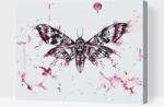  Festés számok szerint - Festmény pillangóról Méret: 40x50cm, Keretezés: Műanyagtáblával