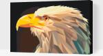  Festés számok szerint - Sas sárga csőrrel Méret: 40x60cm, Keretezés: Műanyagtáblával