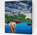  Festés számok szerint - Szarvas a tónál Méret: 40x50cm, Keretezés: Kartonlemezen
