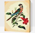 Festés számok szerint - Vintage madár Méret: 30x40cm, Keretezés: Kartonlemezen