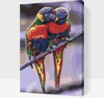  Festés számok szerint - Szivárványlórik 2 Méret: 40x60cm, Keretezés: Kartonlemezen