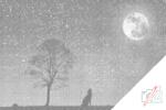  PontPöttyöző - Vonyító kutya teliholdnál Méret: 40x60cm, Keretezés: Kartonlemezen, Szín: Fekete