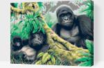  Festés számok szerint - Gorillák Méret: 40x50cm, Keretezés: Műanyagtáblával