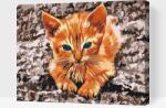  Festés számok szerint - Kövön pihenő cicus Méret: 30x40cm, Keretezés: Műanyagtáblával