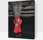  Festés számok szerint - Piros balettcipő Méret: 40x60cm, Keretezés: Műanyagtáblával