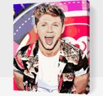  Festés számok szerint - Niall Horan 1 Méret: 30x40cm, Keretezés: Műanyagtáblával