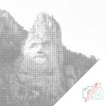  PontPöttyöző - Decebalus-szobor, Románia Méret: 50x50cm, Keretezés: Műanyagtáblával, Szín: Fekete