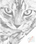  PontPöttyöző - Aranyos cica Méret: 40x50cm, Keretezés: Műanyagtáblával, Szín: Piros
