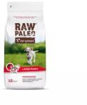 VetExpert Vetexpert Raw Paleo Beef Puppy Large 12kg + MEGLEPETÉS A KUTYÁDNAK