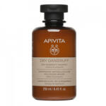 APIVITA - Sampon impotriva matretii uscate Apivita, 250 ml