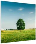 Mivali Tablou cu copaci pe luncă, dintr-o bucată 70x70 cm (V021171V7070)