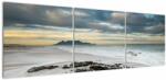 Mivali Tablou - Robben Island, din trei bucăți 150x50 cm (V023060V15050)