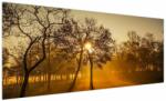 Mivali Tablou cu răsăsrit de soare, dintr-o bucată 250x125 cm (V020257V250125)