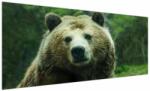 Mivali Tablou cu ursul, dintr-o bucată 250x125 cm (V020185V250125)