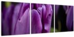 Mivali Tablou cu flori de lalele, din trei bucăți 90x30 cm (V020215V9030)
