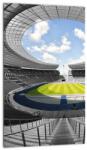 Mivali Tablou - stadionul de fodbal, dintr-o bucată 20x30 cm (V020597V2030)