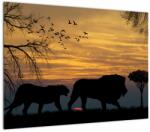 Mivali Tablou cu Safari, dintr-o bucată 70x50 cm (V020692V7050)
