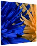 Mivali Tablou detailat cu flori, dintr-o bucată 70x70 cm (V020203V7070)