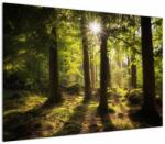 Mivali Tablou - Pădurea de vis, dintr-o bucată 100x70 cm (V022623V10070)