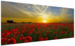 Mivali Tablou cu câmp cu maci, dintr-o bucată 250x125 cm (V020986V250125)