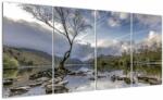 Mivali Tablou cu râu și copac, din patru bucăți 160x80 cm (V020917V16080)