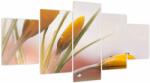 Mivali Tablou - Flori de primăvară, din cinci bucăți 150x80 cm (V023870V150805PCS)