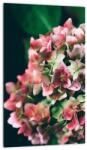 Mivali Tablou - Hortensie, dintr-o bucată 20x30 cm (V022573V2030)