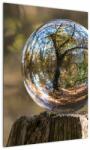 Mivali Tablou - Reflecție intr-o sferă transparentă, dintr-o bucată 50x70 cm (V022641V5070)