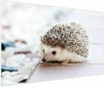 Mivali Tablou cu arici, dintr-o bucată 150x100 cm (V020368V150100)