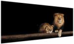 Mivali Tablou - Leu și leoaică, dintr-o bucată 250x125 cm (V022957V250125)
