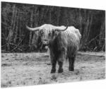 Mivali Tablou - Vacă scoțiană 3, alb-negru, dintr-o bucată 90x60 cm (V024127V9060)