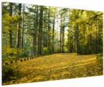 Mivali Tablou - pădurea toamna, dintr-o bucată 120x80 cm (V020218V12080)