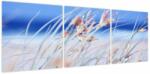 Mivali Tablou - Briză, din trei bucăți 120x40 cm (V023872V12040)
