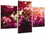 Mivali Tablou cu florile tufișului înflorit, din trei bucăți 90x60 cm (V020196V90603PCS)