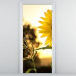 Mivali Fototapet pentru ușă - Floarea soarelui (D020543D95205)