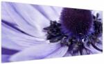 Mivali Tablou - Floare mov, dintr-o bucată 200x100 cm (V023717V200100)