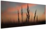 Mivali Tablou - Silueta plantei, dintr-o bucată 120x50 cm (V022647V12050)