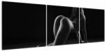 Mivali Tablou - Nud feminin, din trei bucăți 150x50 cm (V023081V15050)